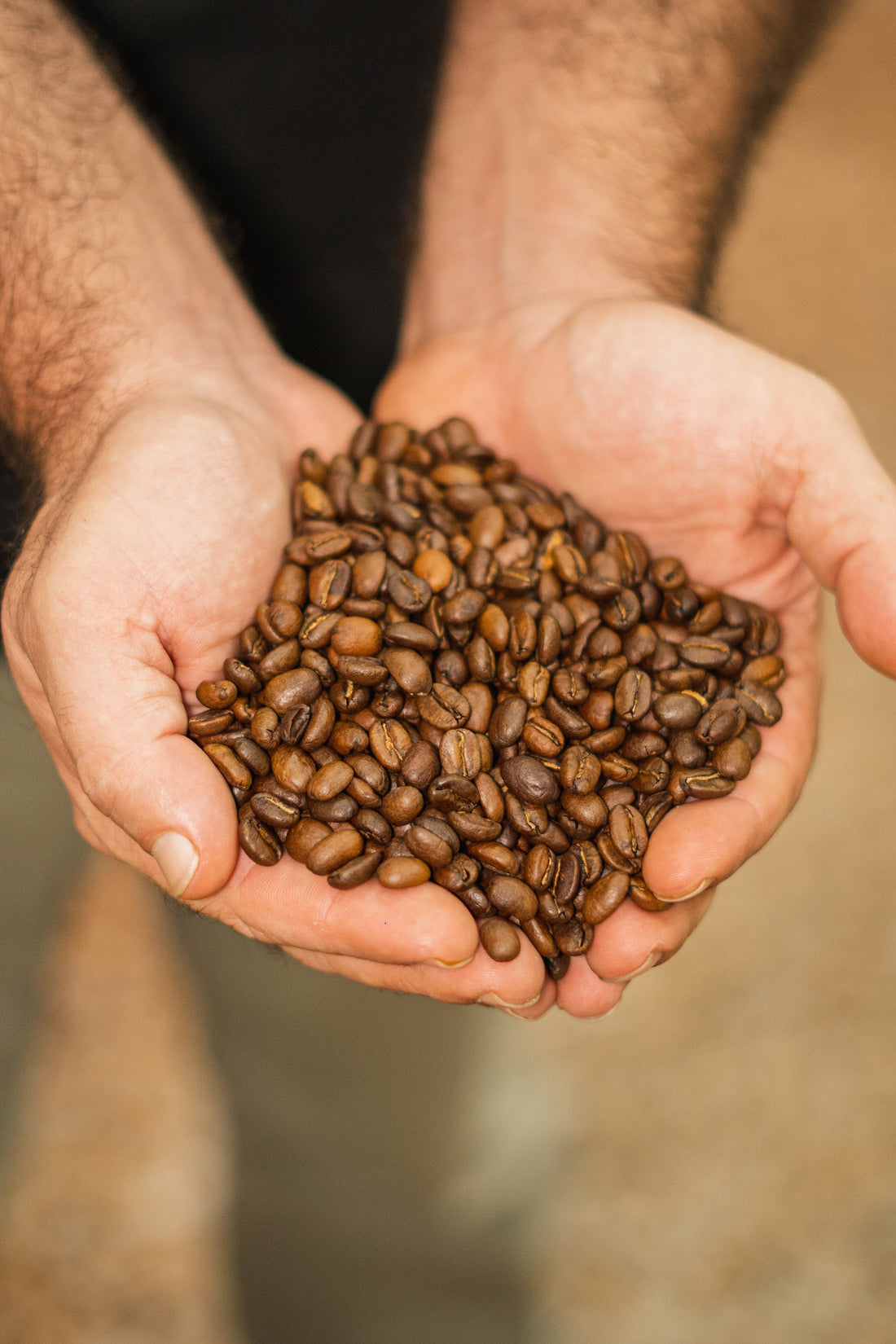 Cómo elegir el mejor café colombiano: Guía esencial para principiantes