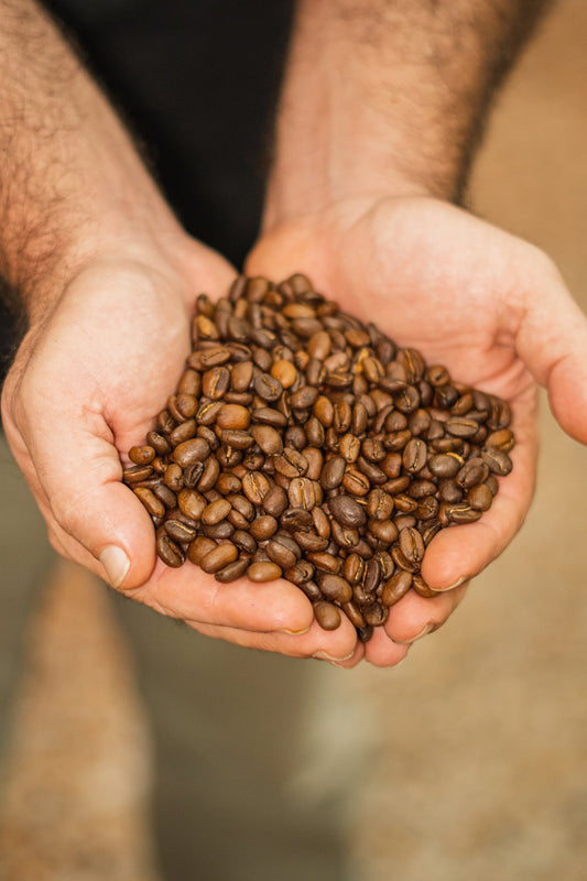 Cómo elegir el mejor café colombiano: Guía esencial para principiantes
